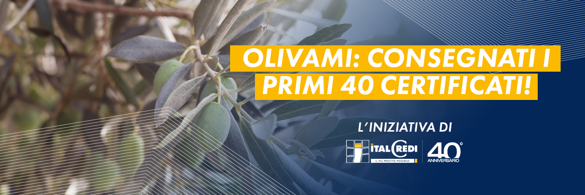 olivami-40-certificati-dipendenti olivami-40-certificati-dipendenti