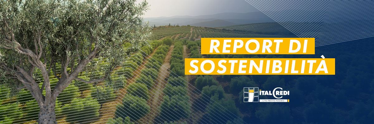 report-sostenibilita-riforestazione-salento